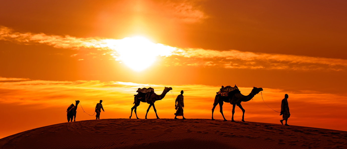 Desert sunset view
